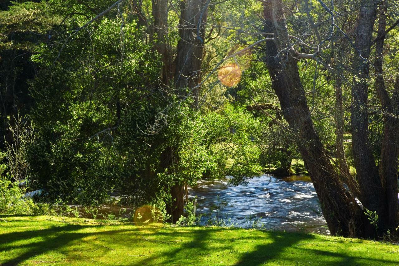 Russell Falls Holiday Cottages National Park ภายนอก รูปภาพ