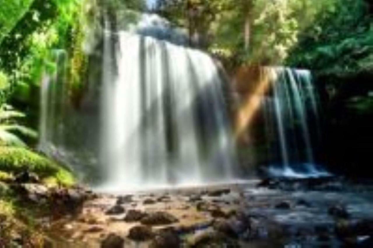 Russell Falls Holiday Cottages National Park ภายนอก รูปภาพ