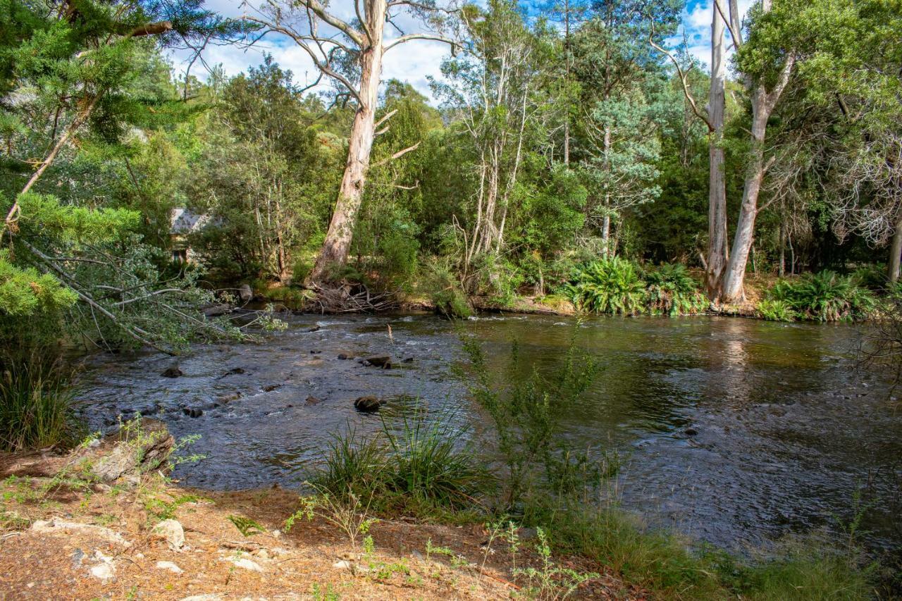 Russell Falls Holiday Cottages National Park ภายนอก รูปภาพ
