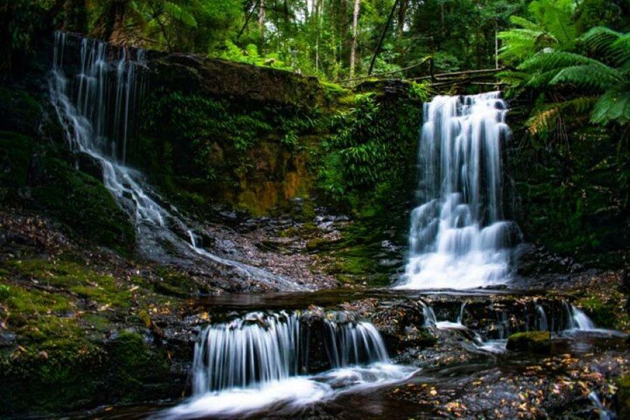 Russell Falls Holiday Cottages National Park ภายนอก รูปภาพ